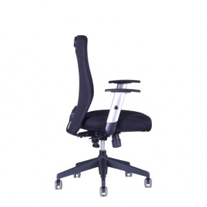 Calypso XL BP (22)